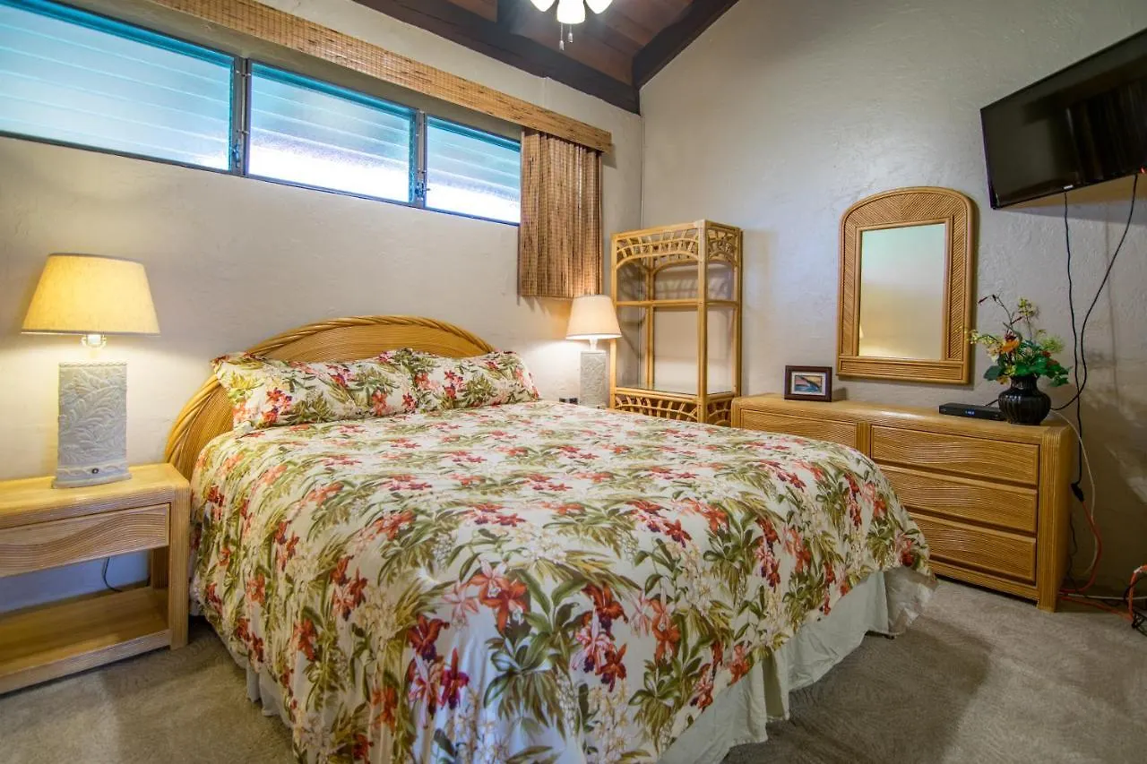 Papakea E407 Villa Kahana