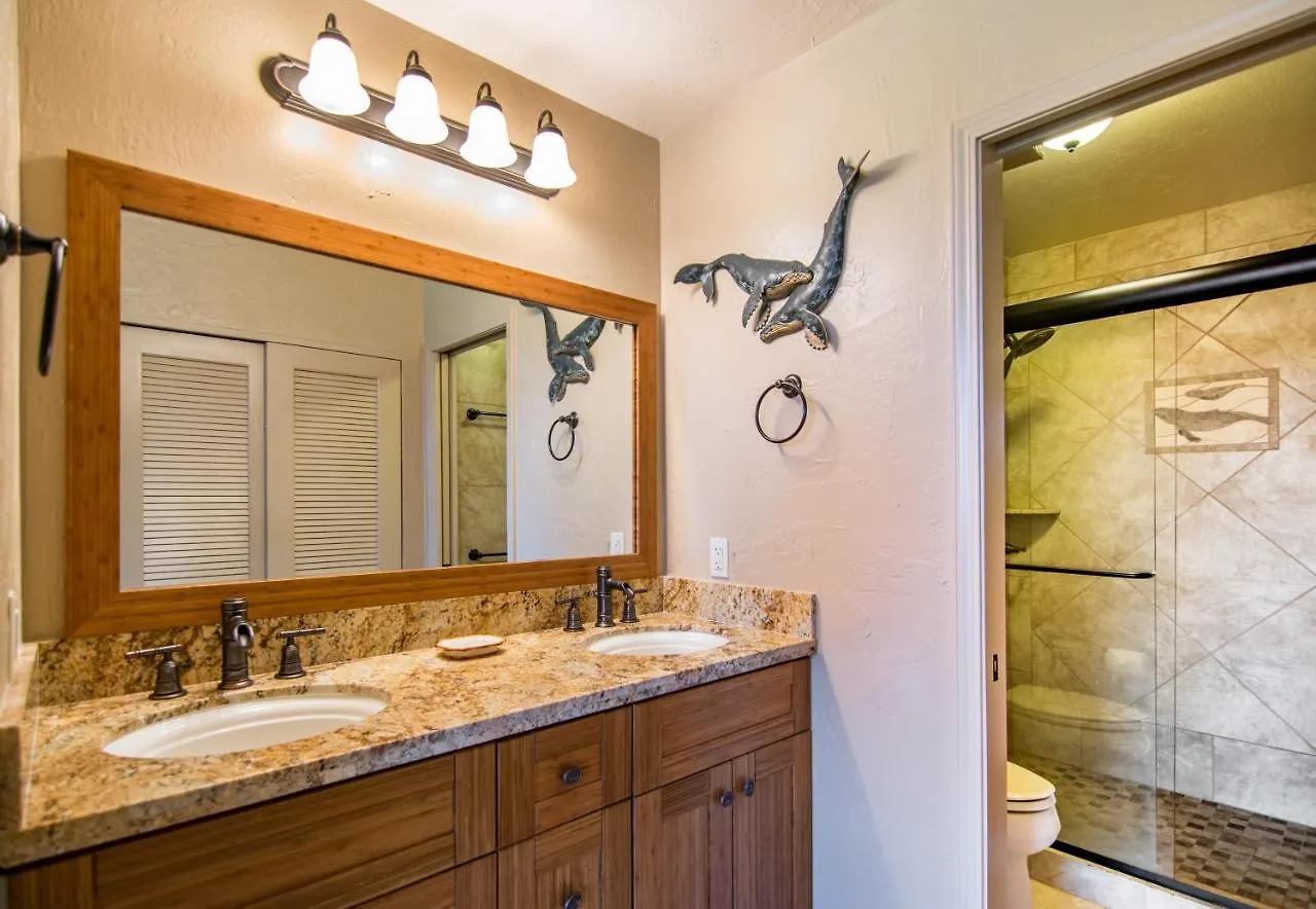 Holiday home Papakea E407 Villa Kahana United States