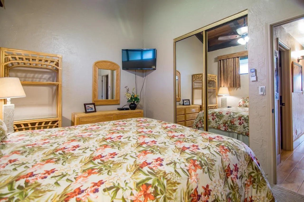 Papakea E407 Villa Kahana Holiday home